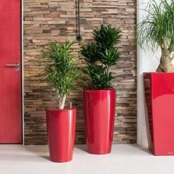 LECHUZA Rondo Tall Round Planter -Garden Plant Store Red Rondo Tall Round Planters 64183.1619626396