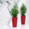 LECHUZA Rondo Tall Round Planter -Garden Plant Store Rondo Tall Round Planter By the Staircase 99162.1619626387