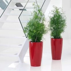 LECHUZA Rondo Tall Round Planter