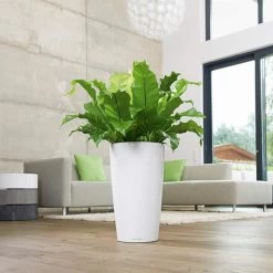 LECHUZA Rondo Tall Round Planter -Garden Plant Store Rondo Tall Round Planter Indoors By the Window 78825.1619626393