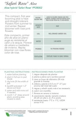 Safari Rose Aloe -Garden Plant Store Safari Rose Aloe Plant Care 06561.1640595118