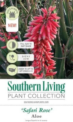 Safari Rose Aloe -Garden Plant Store Safari Rose Aloe Plant Tag Information 81345.1640595111