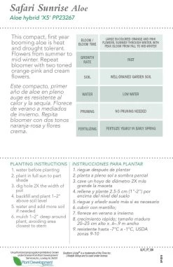 Safari Sunrise Aloe -Garden Plant Store Safari Sunrise Aloe Plant Care 98213.1640595414