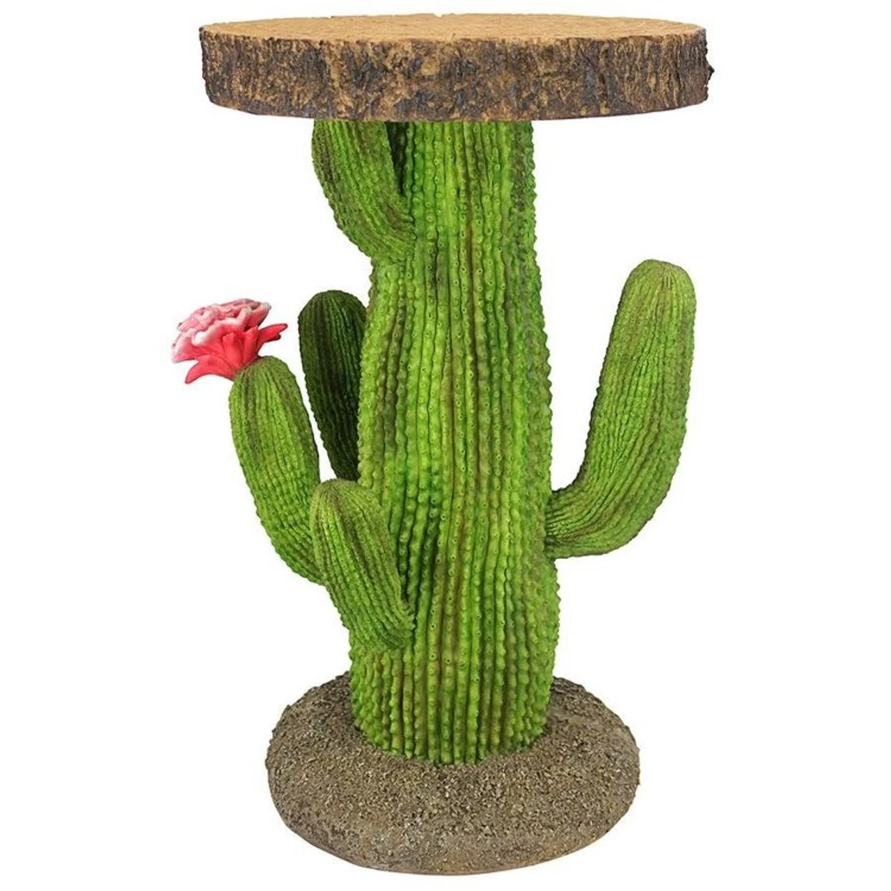 Saguaro Cactus Arizona Desert Plant Stand 6 Saguaro Cactus Arizona Desert Plant Stand - Image 4
