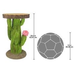Saguaro Cactus Arizona Desert Plant Stand 11 Saguaro Cactus Arizona Desert Plant Stand -Garden Plant Store Saguaro Cactus Arizona Desert Plant Stand Scale Comparison View 15875.1629081313