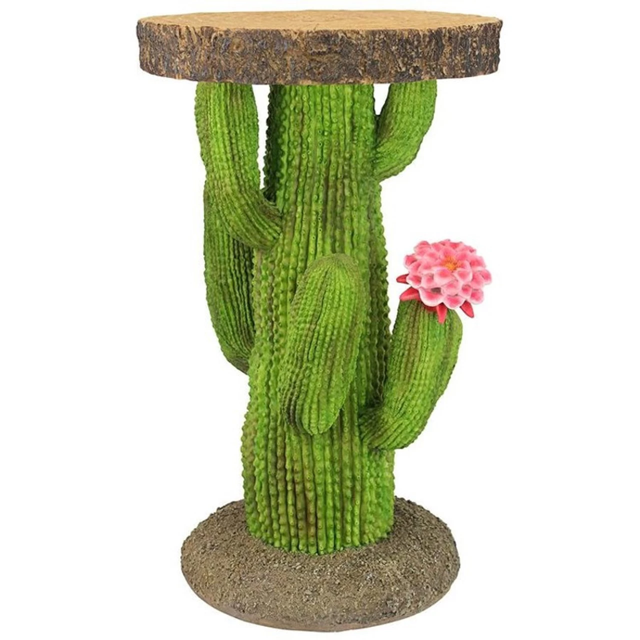 Saguaro Cactus Arizona Desert Plant Stand 3 Saguaro Cactus Arizona Desert Plant Stand