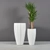 San Jose Tall Ribbed Round Planters -Garden Plant Store San Jose Tall Ribbed Round Planters with Plants 68376.1612301309