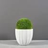 Santa Barbara Low Ribbed Round Planters 2 Santa Barbara Low Ribbed Round Planters -Garden Plant Store Santa Barbara Low Ribber Round Planter with Plants 76961.1661182177