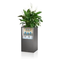 LECHUZA Canto Premium Tall Square Planter -Garden Plant Store Self Watering Canto Premium Tall Square Planter 80083.1619576770