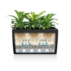 LECHUZA Cararo Rectangular Planter -Garden Plant Store Self Watering Cararo Rectangular Planter 00353.1619640527
