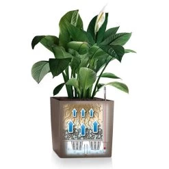LECHUZA Cube Planter -Garden Plant Store Self Watering Cube Planter 81883.1619209285