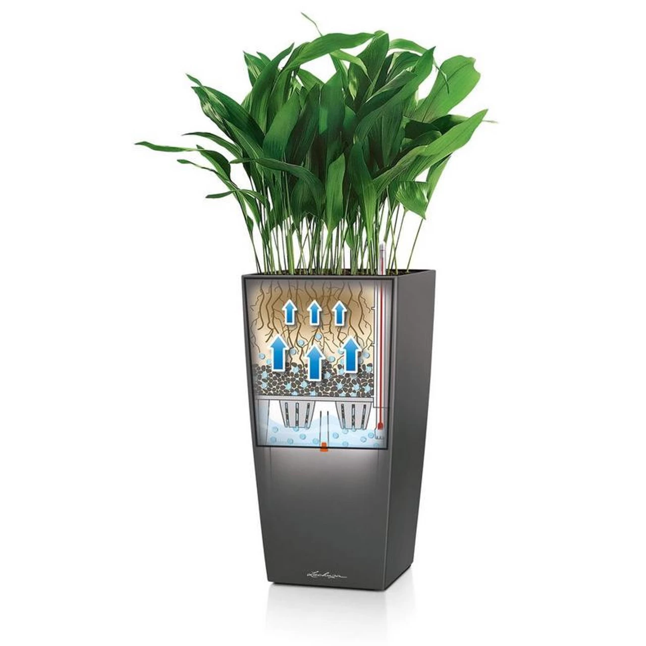 LECHUZA Cubico Alto Tall Square Planter 6 LECHUZA Cubico Alto Tall Square Planter - Image 4