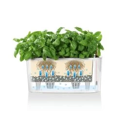 LECHUZA Delta Rectangular Planter -Garden Plant Store Self Watering Delta Rectangular Planter 73165.1679589470
