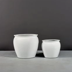 Shanghai Fishbowl Planters 8 Shanghai Fishbowl Planters -Garden Plant Store Shanghai Fishbowl Planters 46130.1652475408