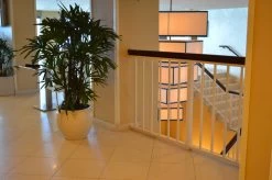 Shanghai Fishbowl Planters 7 Shanghai Fishbowl Planters -Garden Plant Store Shanghai Fishbowl Planters by Commercial Building Stairwell 04859.1652475408