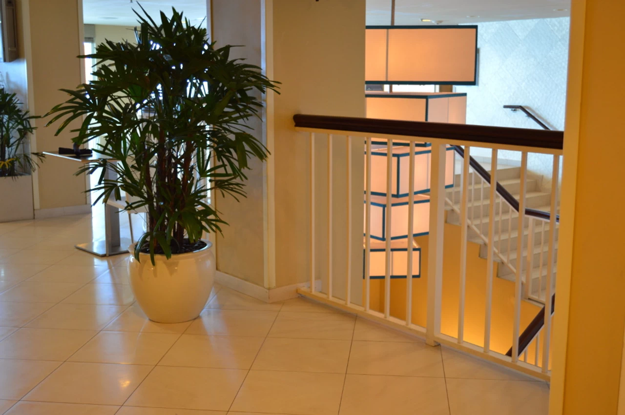 Shanghai Fishbowl Planters 4 Shanghai Fishbowl Planters - Image 2