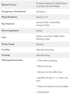 Shining Sensation Weigela -Garden Plant Store Shining Sensation Weigela Care Instructions 80565.1640870134