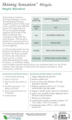 Shining Sensation Weigela -Garden Plant Store Shining Sensation Weigela Plant Care 37850.1640870128