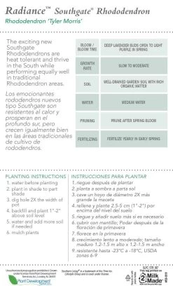 Southgate Radiance Rhododendron -Garden Plant Store Southgate Radiance Rhododendron Plant Care 23957.1640074619