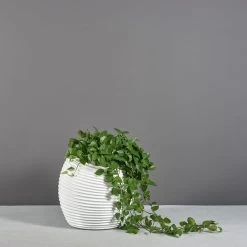 Spiral Modern Globe Planters