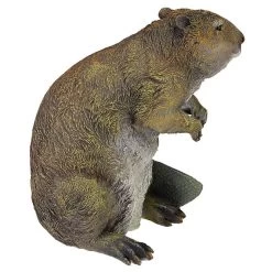 Standing Beaver Statue -Garden Plant Store Standing Beaver Statue Corner View 23890.1629340114