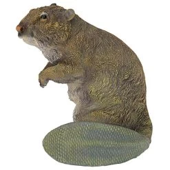 Standing Beaver Statue -Garden Plant Store Standing Beaver Statue Other Side 80590.1629340121