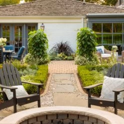 Sunjoy Sequins® Barberry -Garden Plant Store Sunjoy Sequins Barberry Thriving 35298.1676642099