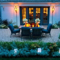 Sunjoy Sequins® Barberry -Garden Plant Store Sunjoy Sequins Barberry in the Backyard 85219.1676642081