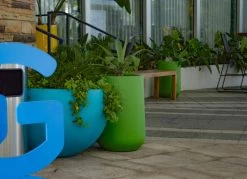 Tarragona Bowl Planters -Garden Plant Store Tarragona Bowl Planters By the Office Building 01711.1661182624