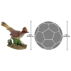 The Great Roadrunner Statue 11 The Great Roadrunner Statue -Garden Plant Store The Great Roadrunner Statues Dimension 36072.1636793806