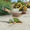 The Great Roadrunner Statue -Garden Plant Store The Great Roadrunner Statues 62569.1636776059