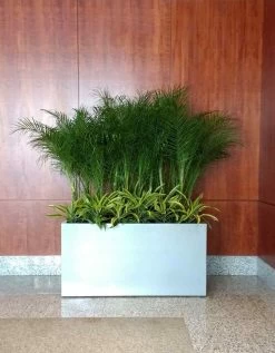 Tolga Rectangular Planters -Garden Plant Store Tolga Rectangular Planter Indoors 88219.1667840376