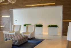 Tolga Rectangular Planters -Garden Plant Store Tolga Rectangular Planters in Hotel Lobby 57208.1667840376