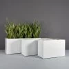 Tolga Rectangular Planters -Garden Plant Store Tolga Rectangular Planters with plants 87304.1667840376