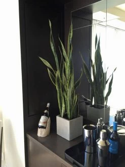 Tonto Small Cube Planters -Garden Plant Store Tonto Small Cube Planter in the Bar Area 20698.1639002094