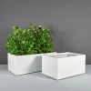 Torino Wide Rectangle Planters -Garden Plant Store Torino Wide Rectangle Planters with plants 55623.1661182655