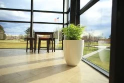 Valencia Tall Round Tapered Planters -Garden Plant Store Valencia Tall Round Tapered Planter Inside by the Window 38418.1667840810