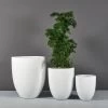 Valencia Tall Round Tapered Planters -Garden Plant Store Valencia Tall Round Tapered Planters with plants 60531.1667840810