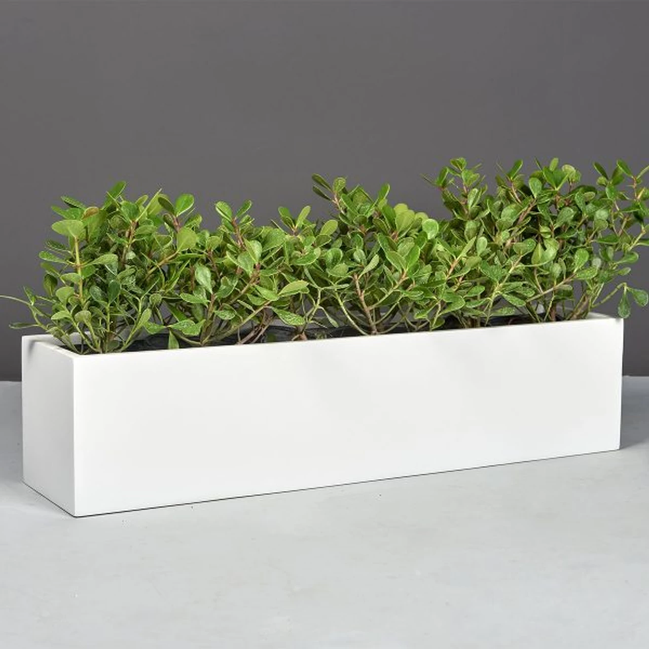 Vicksburg Rectangular Tabletop Planters 3 Vicksburg Rectangular Tabletop Planters