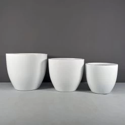 Wannsee Extra Large Round Planters -Garden Plant Store Wannsee Extra Large Round Planters 11184.1667841051