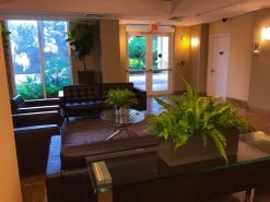 Weir Rectangle Tabletop Planters -Garden Plant Store Weir Rectangle Tabletop Planter on Sofa Table 04068.1663166026