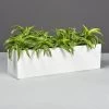 Weir Rectangle Tabletop Planters -Garden Plant Store Weir Rectangle Tabletop Planter with plants 66204.1663166026
