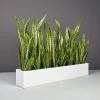 Wheeling Narrow Rectangular Planters -Garden Plant Store Wheeling Narrow Rectangular Planter with plants 98631.1612280227