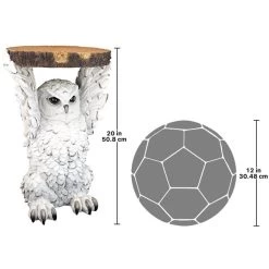 Wisdom Owl Sculptural Plant Stand -Garden Plant Store Wisdom Owl Sculptural Plant Stand Scale Image 64875.1629074615