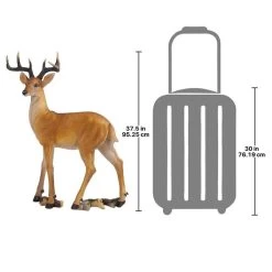 Woodland Buck Deer Statue 15 Woodland Buck Deer Statue -Garden Plant Store Woodland Buck Deer Statue Dimensions 62624.1629902771