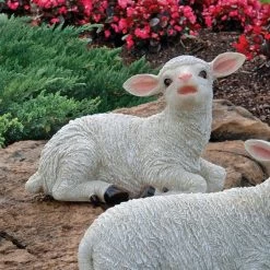 Yorkshire Lamb Garden Statues -Garden Plant Store Yorkshire Lamb Garden Statues Sitting 47795.1637258332