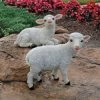 Yorkshire Lamb Garden Statues -Garden Plant Store Yorkshire Lamb Garden Statues 15152.1637258389