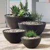 Delano Bowl Planter 1 Delano Bowl Planter -Garden Plant Store delano planters 35597.1498431141 CROPPED compressor 32407.1507688637