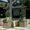 Estate Square Planter 1 Estate Square Planter -Garden Plant Store estate square planters 76633.1498792511 Cropped compressor 90902.1507689048