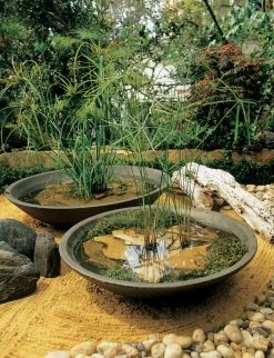 Montana Bowl Planter -Garden Plant Store montana bowls principal 79326.1507688173